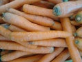 Carrot or common carrot Royalty Free Stock Photo